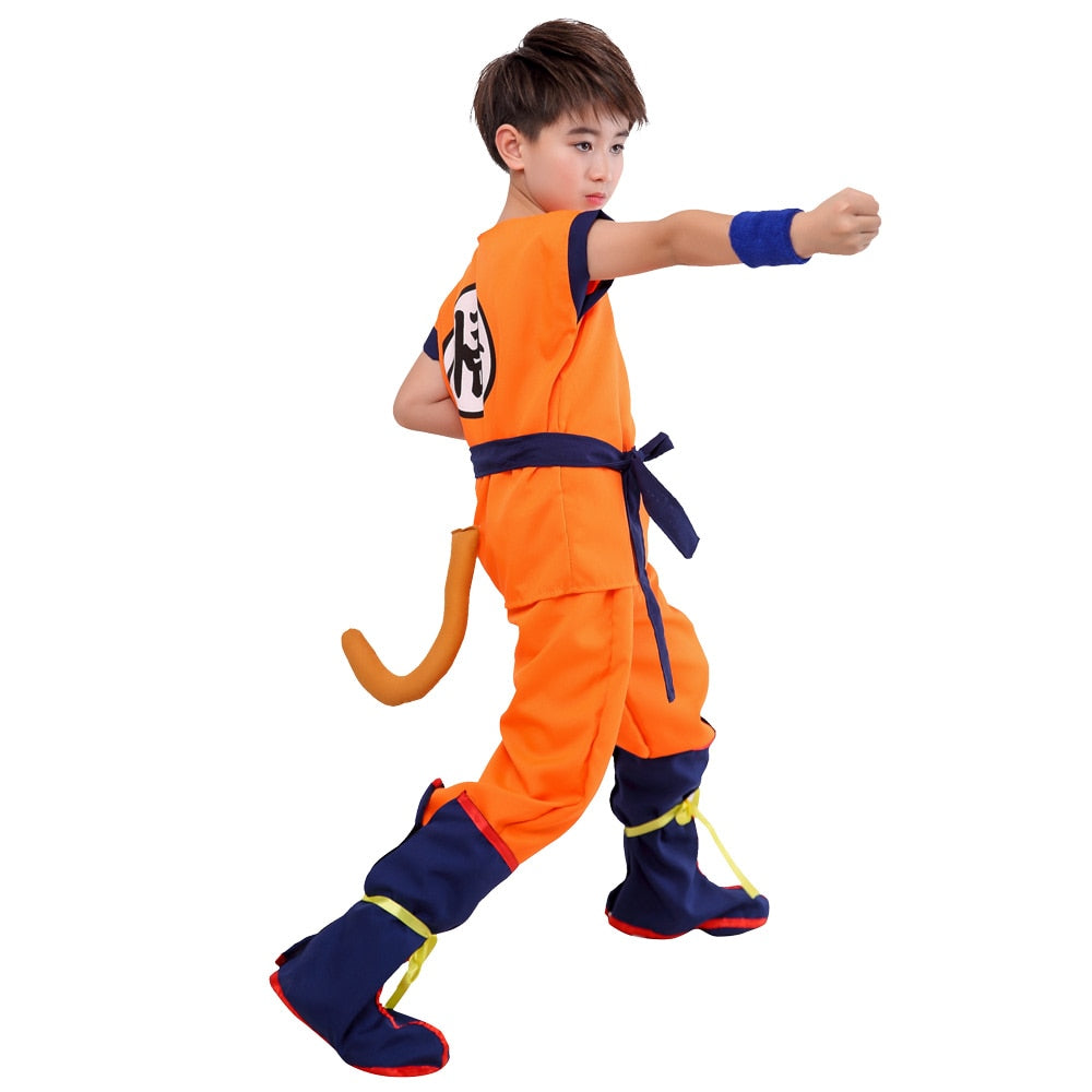 Dragonball Cosplay Set