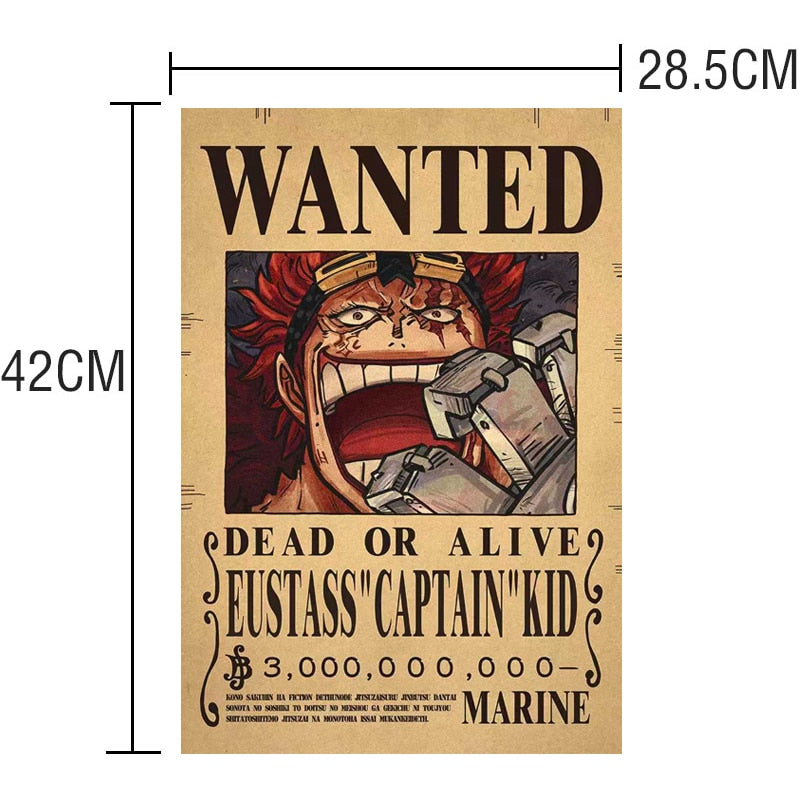 One piece poster Wanted billion berry's One Piece 3