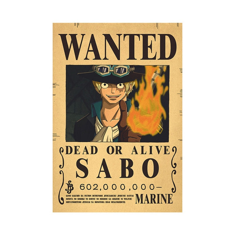 One piece poster Wanted billion berry's One Piece 17