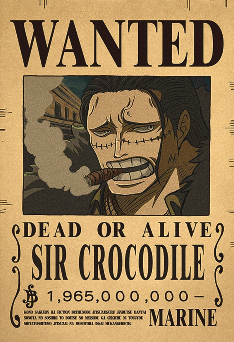 One piece poster Wanted billion berry's